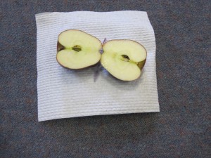 The apple has been cut in half.