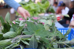 Fresh produce for sale from the gardening club